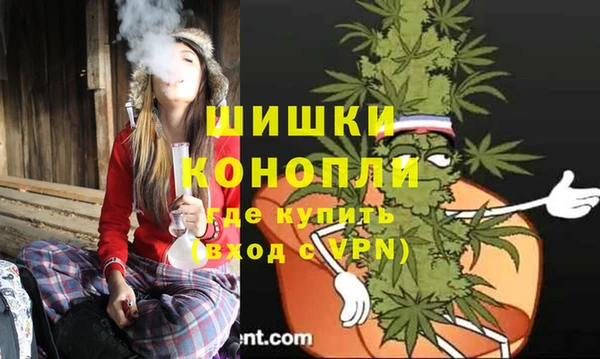 ГАЛЛЮЦИНОГЕННЫЕ ГРИБЫ Арсеньев