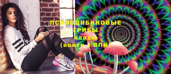 мдпв Армянск