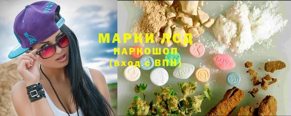 ГАЛЛЮЦИНОГЕННЫЕ ГРИБЫ Арсеньев