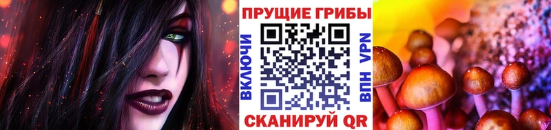 закладки  Сарапул  Галлюциногенные грибы мицелий 